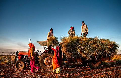 'Ensure no shortage of fertilisers in Haryana for Kharif season' | State Agriculture Minister