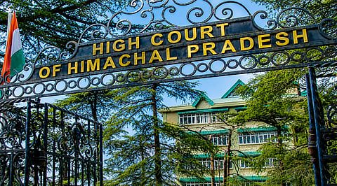 Himachal HC freezes 900 assistant nurse posts, questions legality of new cadre, vacancies