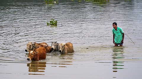 Assam floods worsen, over 50,000 affected as Centre assures full support