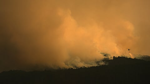 Spain declares national emergency after wildfires force evacuations of over 10,000 people
