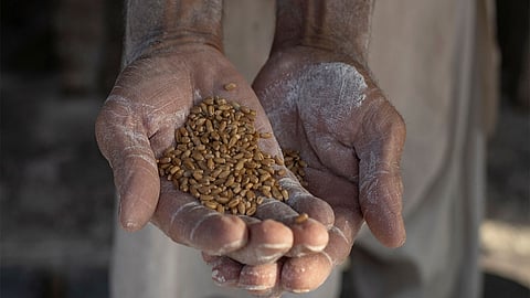 Parliamentary panel seek phased expansion of national food security act coverage, SMART-PDS rollout