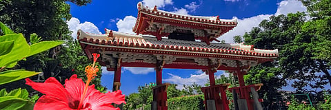 Travellers can explore Japan's major attractions under IRCTC's new 10-day package departing from Delhi on September 6 | X/@japan