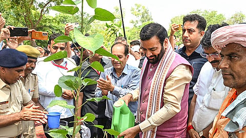 The Chief Minister said tree plantation is not merely a government programme but a collective responsibility towards future generations
