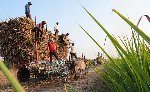 Figures submitted by the cane commissioner showed that during 2023-24, around Rs 35,893 crore was payable to sugarcane farmers across 36 districts