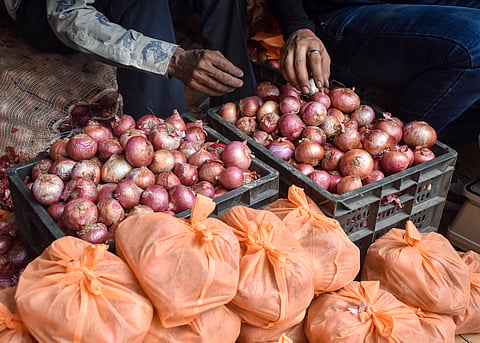 The government has a buffer of 1.21 lakh tonnes of onions for 2026