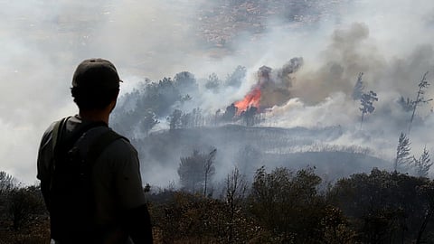 Nearly 20 forest fires had remained active across Colombia as dry conditions heightened concerns ahead of El Niño

