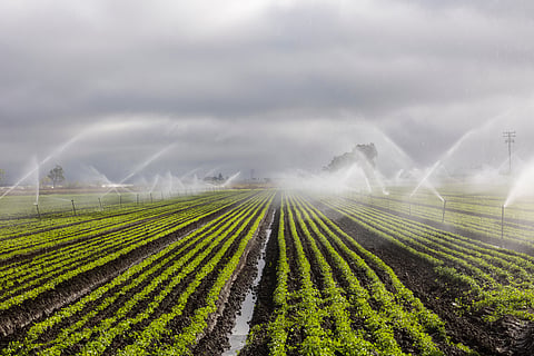 The Cabinet had cleared the Uttarakhand Irrigation and Drainage Bill, 2026, designed around the state’s geographical conditions
