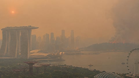 Wildfire haze from Indonesia blankets Singapore, Malaysia and parts of Southeast Asia, worsening pollution | Representational Image