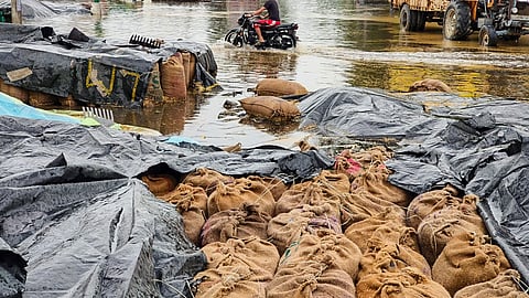 Farmers had sought special crop loss assessments after rain and hailstorms damaged standing crops and flooded grain markets
