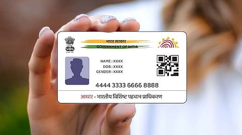 Nearly 55 lakh domestic consumers had received subsidised electricity in 2025-26, accounting for 87% of beneficiaries