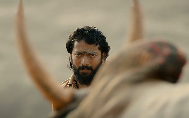 Pettaikaali Trailer Talk: Game Face Is On In Vetri Maaran's Jallikattu Series