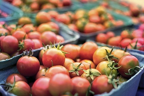 India can generate USD 1 trillion in revenues from Agriculture & Food sector, reveals report