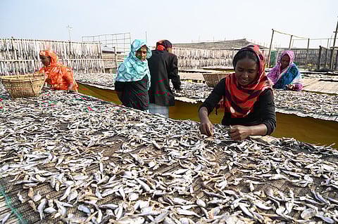 New food processing policy to strengthen unorganized food processing units