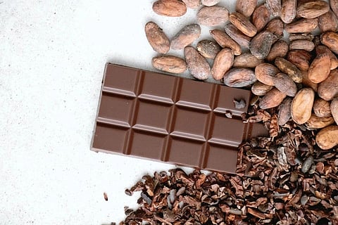 Cocoashala & IICCT present Chocolate Taster Certification India Level 1