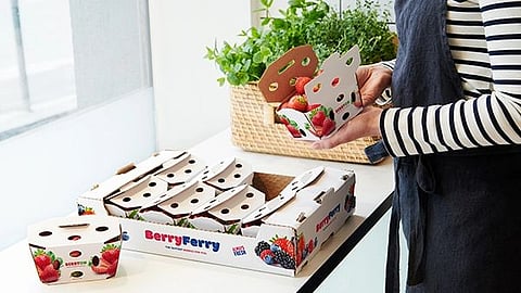 Stora Enso launches premium white top kraftliner for demanding packaging end-uses