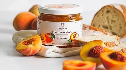 Trigarta Curators launches premium fruit preserves with 4 ingredients, high fruit content