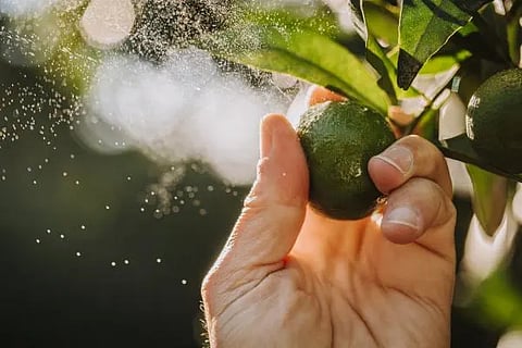 Firmenich strengthens sustainability performance in FY2022