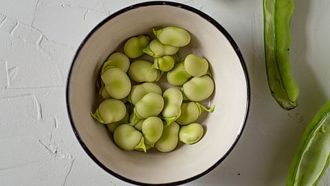 Symrise & WUR to research legumes and turn them into products with optimal taste and functionality