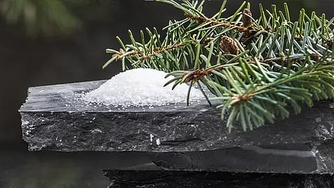 Stora Enso and Kolon Industries collaborate on bio-based materials