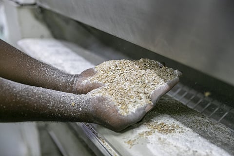 Millers for Nutrition welcomes Bühler to coalition aiming to improve nutrition for 1 billion people across eight countries by 2026