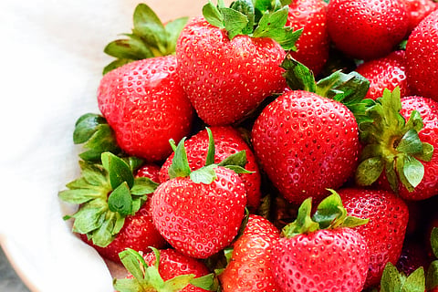 Chungnam National University researchers develop an edible biofilm for extending fruit shelf life 