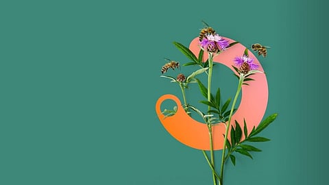 SGS launches Nature services under its new IMPACT NOW for sustainability suite