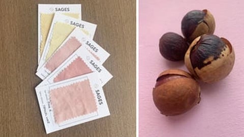 Avocado innovation meets community impact: Westfalia Fruit’s focus at Fruit Logistica 2025