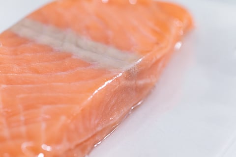 More sea, less refuse: Sustainability meets efficiency at Seafood Expo Global