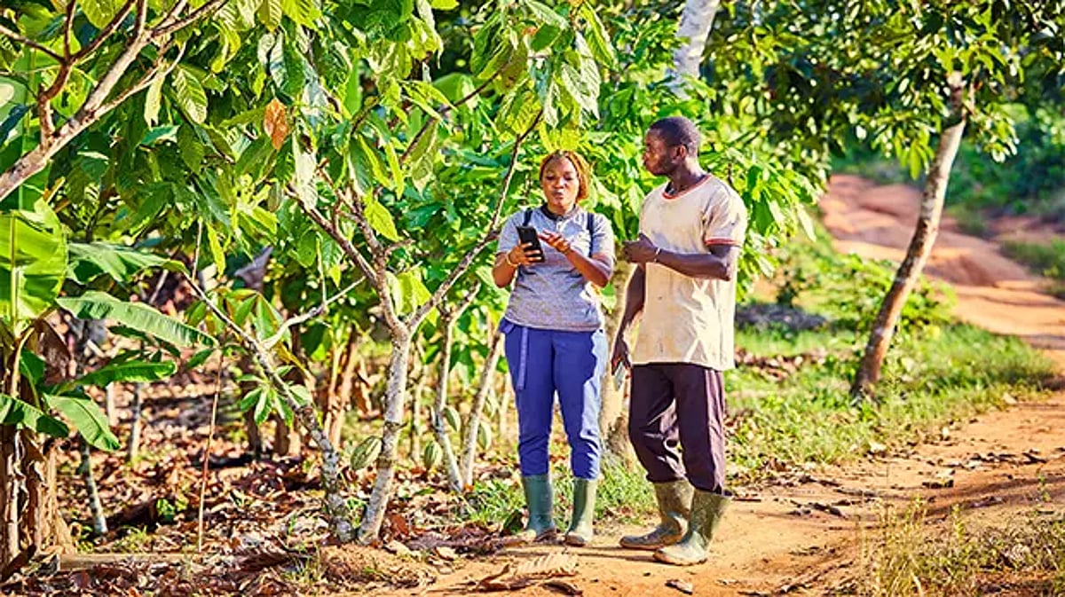 ofi achieves Carbon Trust certification, enhancing environmental ...