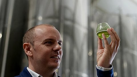 Alfa Laval will unveil its large capacity olive oil extraction system at Expoliva 2025