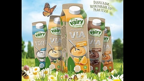 Boermarke and Elopak partner to launch plant-based drinks and desserts in sustainable cartons