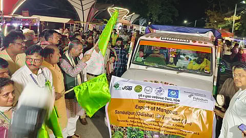 Odisha makes history: Exports mangoes to England & Dubai in single day with Palladium’s support