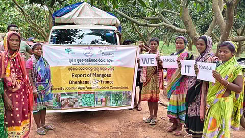 Odisha adds France and Belgium to its mango export destinations
