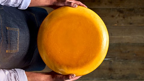 IFF launches transformational culture to drive energy and water efficiency in semi-hard cheese production