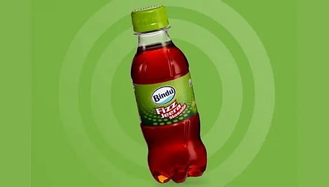 Bindu Fizz Jeera Masala