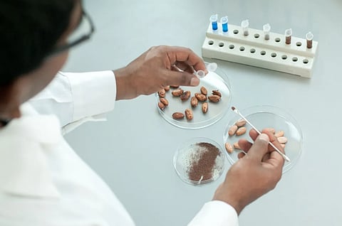 Barry Callebaut partners with the Zurich University of Applied Sciences to explore Cocoa Cell Culture Technology