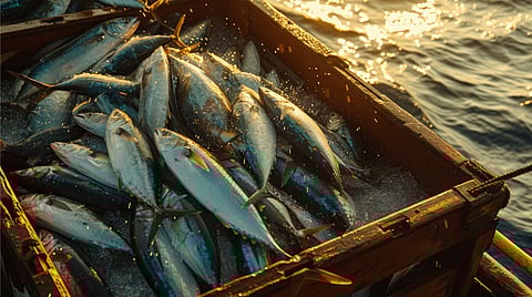 India’s seafood exports get big push as EU approves 102 new fishery units