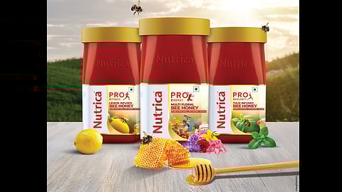 Nutrica Bee Honey range