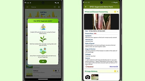 Satyukt Analytics rolls out ‘SFGC Sugarcane’ App 