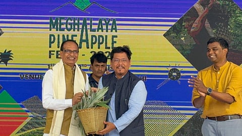 Shri Conrad K Sangma unveils Meghalaya's Achievements in Agriculture Sector; Hon'ble Union Minister Shivraj Singh Chouhan hails State’s Value Chain Approach