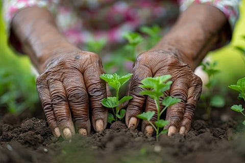 Ministry of Agriculture leverages space technology to enhance crop forecasting, drought monitoring, and yield estimation