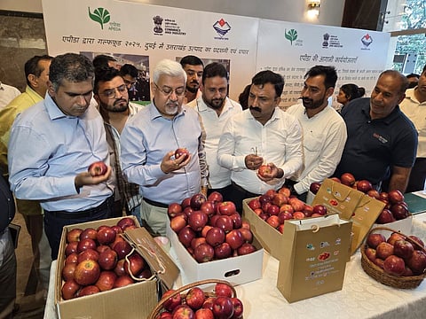 Garhwali King Roat Apples from Uttarakhand exported to Dubai in first trial shipment