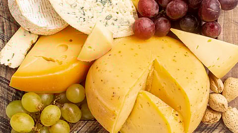 dsm-firmenich unveils next-gen Dairy Safe cultures for hard and semi-hard cheeses