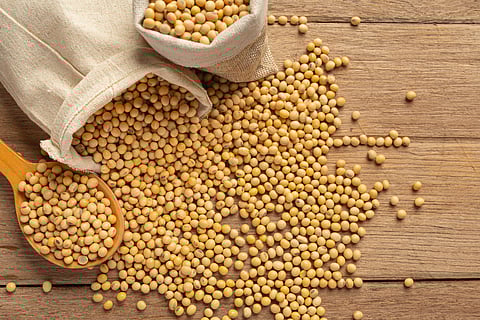 ADM announces streamlining of soy protein production network