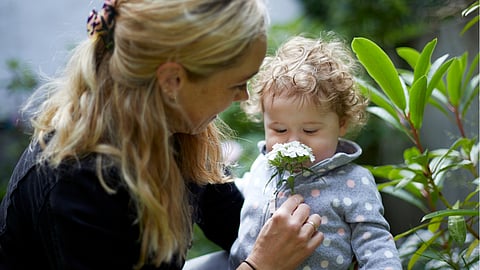 Healthy growth and immunity top mothers’ infant formula wish list