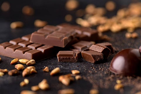 Barry Callebaut and Planet A Foods partner to pioneer sustainable chocolate alternatives without cocoa