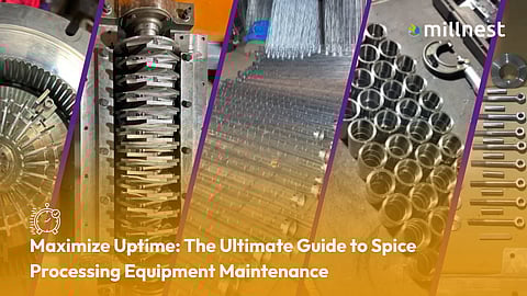 Maximize Uptime: The ultimate guide to spice processing equipment maintenance