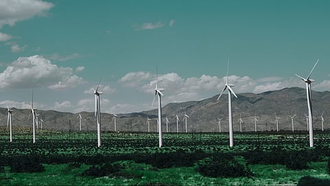 Government promotes Green Technologies and renewable energy in food processing sector