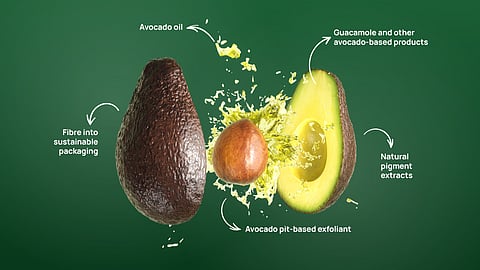 Westfalia Fruit continues to unlock value in the supply chain through its ‘Whole Tree’ approach