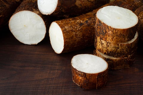 Ingredion Thailand achieves 100% sustainably sourced Cassava